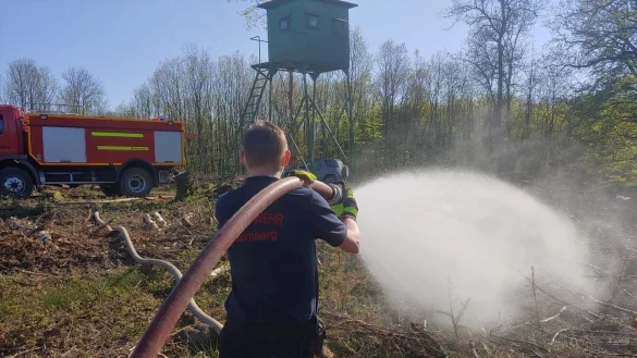 Die Feuerwehr hat am Nabberg 10.000 Douglasien gew&auml;ssert und sie so vielleicht vor dem Vertrocknen gerettet. - &copy; Feuerwehr Blomberg
