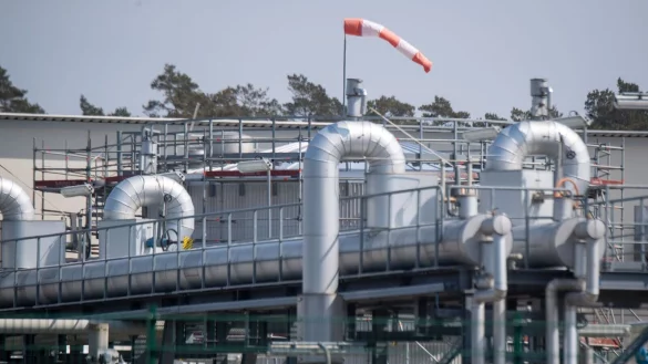 - © Stefan Sauer/dpa