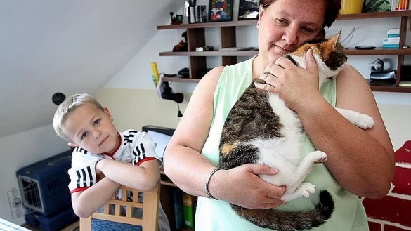 Ilka Jungh&auml;nel h&auml;lt das verletzte Tier im Arm, Sohn Finn (7) findet es nicht in Ordnung, dass auf die Katze geschossen wurde. Das kreisrunde Einschussloch ist an der Seite im getigerten Fell noch zu erkennen. - &copy; FOTO: BIRGIT GUHLKE