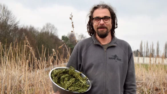 Cannabis als Medizin: Stefan Noelker-Wunderwald ist der Meinung, dass der Staat es vielen Patienten noch immer zu schwer macht, an ihre Medizin zu kommen. Er selbst baut Nutzhanf an, hier auf einem abgeernteten Feld in Steinheim. - &copy; Greta Wiedemeier