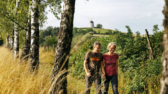 Wandern kann man in Kalletal - wie hier bei Bavenhausen - sehr gut. Die Gemeinde punktet mit Lebensqualität. Einige verbinden damit wohl Natur und Ruhe. - © Gemeinde Kalletal/Nadja Jacke