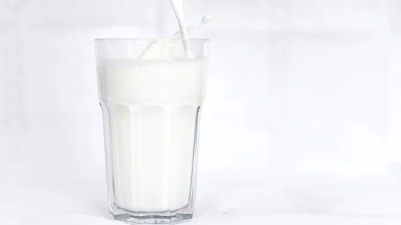 - &copy; Sina Schuldt/dpa