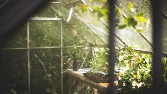 - &copy; Symbolbild Pixabay