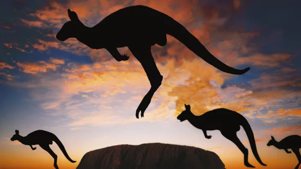 Bilder aus Australien gibt es am 14. Februar in der Stadthalle. - &copy; Roland Marske