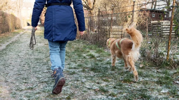 Ein Hund und sein Halter gehen spazieren - &copy; Foto: Robert G&uuml;nther/dpa-tmn