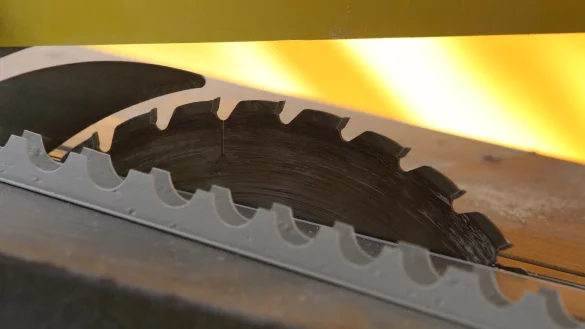 Kreiss&auml;ge - &copy; Foto: Karl-Josef Hildenbrand