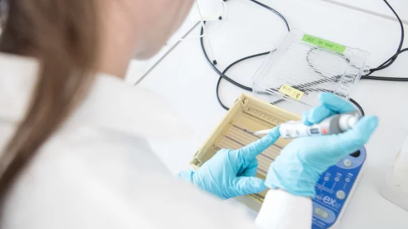 Arbeiten in einem Labor - &copy; Foto: Sebastian Gollnow/dpa/dpa-tmn