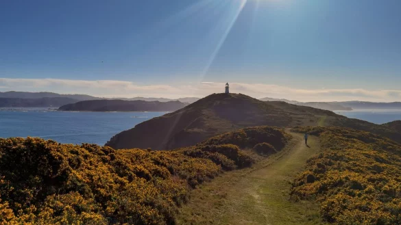 Neuseeland &ouml;ffnet am 31. Juli - &copy; Foto: Guo Lei/XinHua/dpa