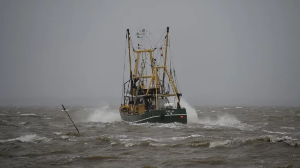 Fischerei in der Nordsee - &copy; Foto: Carsten Rehder/dpa