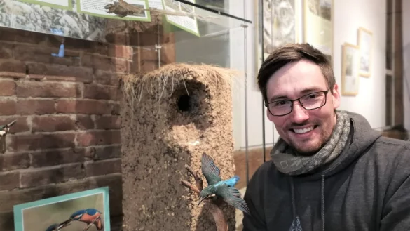 Fabian Fester, wissenschaftlicher Mitarbeiter der Biologischen Station Lippe, mit einem Eisvogel in der Hand. Hinter ihm ist zu sehen, wie eine Bruth&ouml;hle der V&ouml;gel aussehen kann. - &copy; Freya K&ouml;hring