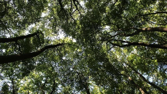 Tiefental - &copy; Kirsten Fuhrmann