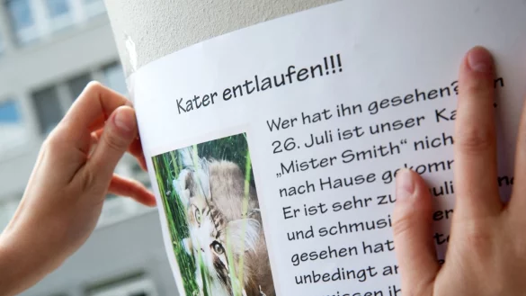 Suchplakat - &copy; Foto: Mascha Brichta/dpa-tmn