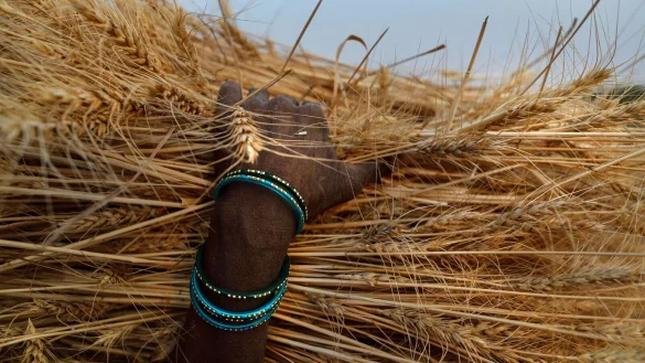 - &copy; Rajesh Kumar Singh/AP/dpa