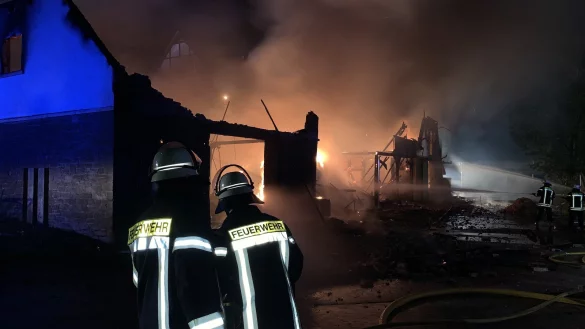 Aus dieser Stallung konnten alle Pferde gerettet werden. - &copy; Freitag TV
