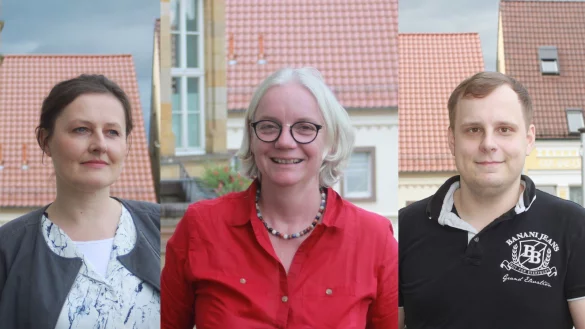 - &copy; DIE LINKE Stadtverband Horn-Bad Meinberg