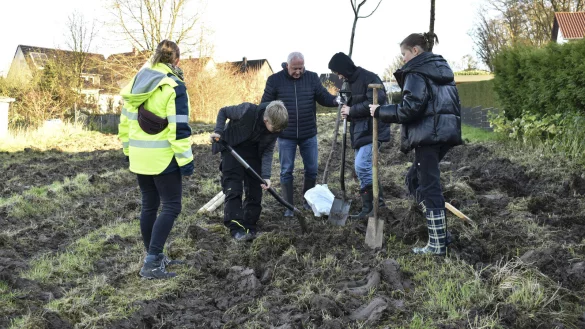 Schülerinnen und Schüler der Realschule Lage unterstützen die Baumpflanzaktion am Schlüterweg. - © Stadt Lage