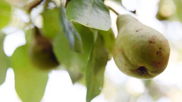 - &copy; Andrea Warnecke/dpa-tmn