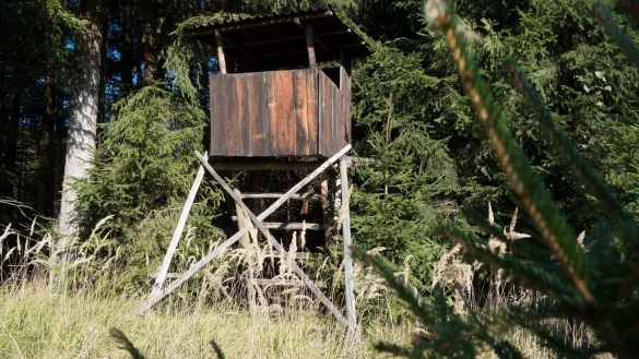 Symbolbild. - &copy; Pixabay