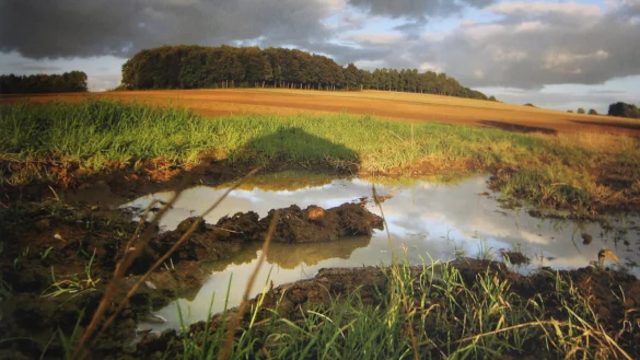 - © Naturpark Teutoburger Wald