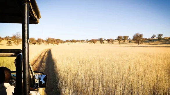 Urlaub in Namibia - &copy; Foto: Catherine Waibel/dpa-tmn