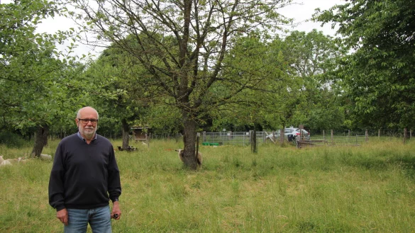 Willi Hennebr&uuml;der auf der Streuobstwiese vom BUND, im Hintergrund ist eine Kirsche zu sehen, die Trockenheit und Frost wohl nicht &uuml;berstanden hat. - &copy; Katrin Kantelberg(LZ)