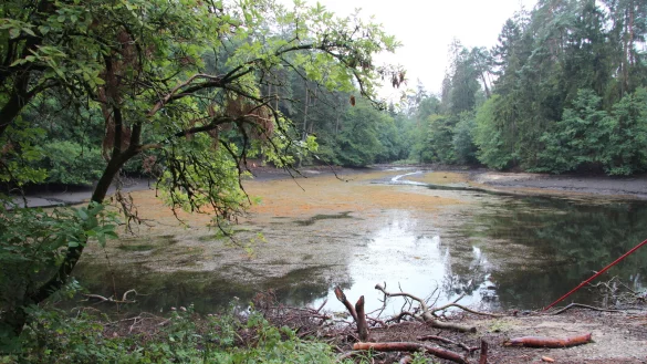 Um rund 1,5 Meter ist die Wasseroberfl&auml;che des Donoperteich durch das kaputte Stauwerk abgesunken. Die Reparaturen sind im Gang. - &copy; Cordula Gr&ouml;ne(LZ)