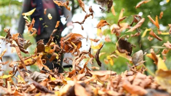 Pusten in Orkanst&auml;rke - &copy; Foto: Ralf Hirschberger/dpa-Zentralbild/dpa-tmn