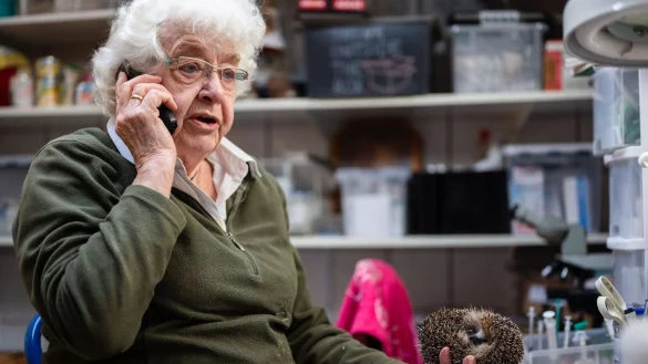 Igel-Retterin Oehl - &copy; Foto: Marius Becker/dpa