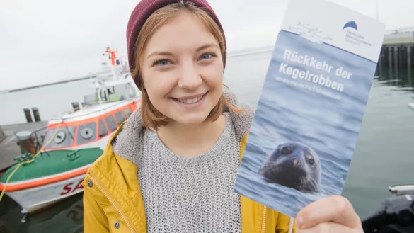 Kegelrobben erobern K&uuml;stengew&auml;sser zur&uuml;ck - &copy; Foto: Stefan Sauer/dpa
