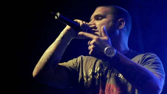 Fler - &copy; Foto: Britta Pedersen/dpa