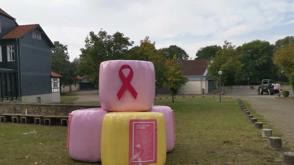 Vor der Zerstörung: Die in rosa Folie eingepackten Siloballen waren mit pinker Schleife und Plakaten zum Thema versehen. - © Sabine Mirbach
