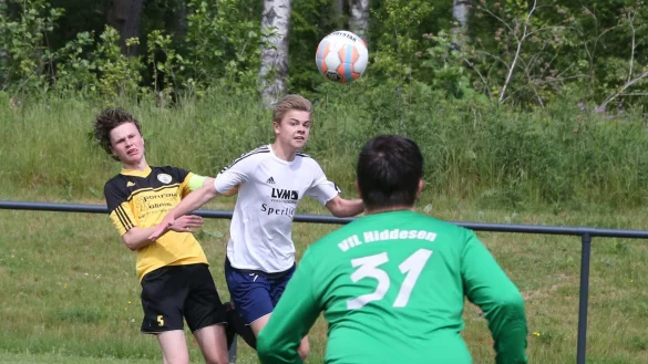 Hohes Tempo auf der Zielgeraden - © Paul Cohen