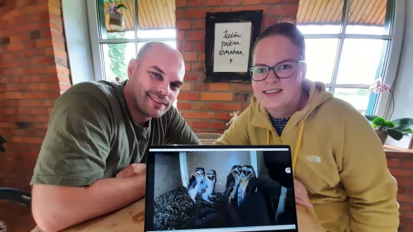 Birte Brand und Johannes &Uuml;pping zeigen ein Foto der vier jungen Schleiereulen, die auf dem Dachboden ihres alten Bauernhauses geschl&uuml;pft sind. Das Ehepaar will mit der Anbringung eines Nistkastens f&uuml;r bessere Lebensbedingungen der Tiere sorgen. - &copy; Michaela Wei&szlig;e