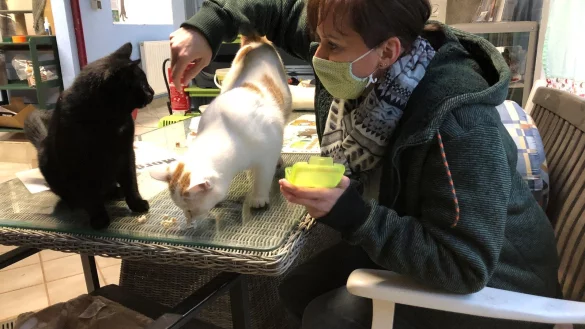 Suanne Baumgart f&uuml;ttert im Katzenhaus des Tierheims zwei Katzen. - &copy; Sven Kienscherf