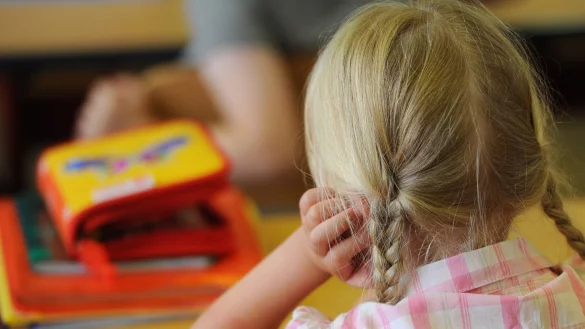 M&auml;dchen im Unterricht - &copy; Foto: Jens Kalaene/dpa