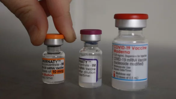 - &copy; Matthias Bein/dpa-Zentralbild/dpa