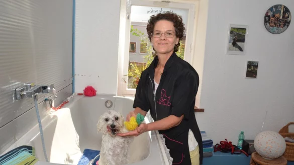 Waschtag: So geduldig wie der Malteser &bdquo;Twix&ldquo; lassen sich die meisten Hunde im Hundefriseursalon von Susanne Horst baden. Im hell eingerichteten Salon riecht es angenehm frisch nach Shampoo und gar nicht nach nassem Hund. ? - &copy; Foto: Tanja Watermann