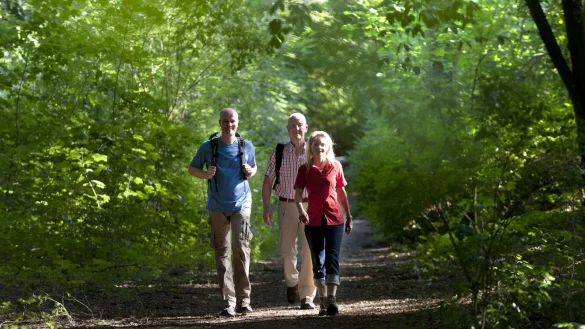 Wandern im Wald in Bad Salzuflen. - &copy; Teutoburger Wald Tourismus / Staatsbad Salzuflen / A. Hub