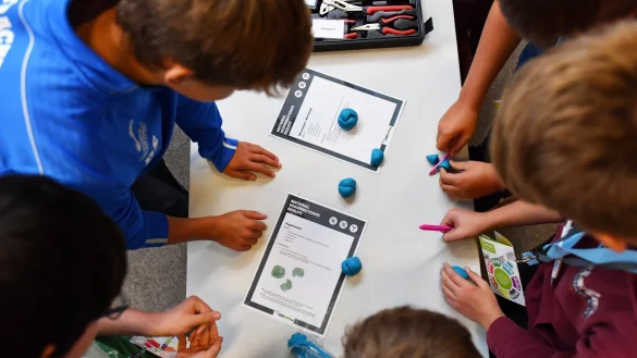 Sch&uuml;ler bei der Gruppenarbeit - &copy; Foto: Ralf Hirschberger/dpa-Zentralbild
