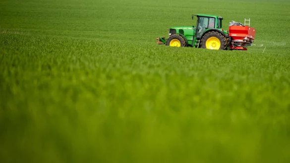 Landwirtschaft: Je gr&ouml;&szlig;er die bewirtschaftete Fl&auml;che, desto h&ouml;her die EU-Subventionen, die ein Betrieb erh&auml;lt. - &copy; dpa