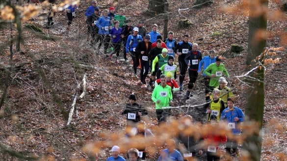Im Wald lauern Gefahren: Die Austragung des diesj&auml;hrigen Bad Salzuflen-Marathons ist in Gefahr. - &copy; Archivfoto:J&ouml;rg Hagemann