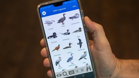 Die Nabu-App &laquo;Vogelwelt&raquo; - &copy; Foto: Andrea Warnecke