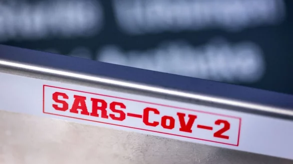 - &copy; Jens B&uuml;ttner/dpa-Zentralbild/dpa