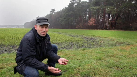 Lockmittel: Karsten Schier hat auf einem Spaziergang auf einer Wiese zwischen Haustenbecker Stra&szlig;e und Truppen&uuml;bungsplatz eine Futterspur aus Kastanien und Mais entdeckt. Wenige Meter entfernt steht ein J&auml;gerhochsitz am Waldrand. - &copy; Bernhard Preuss