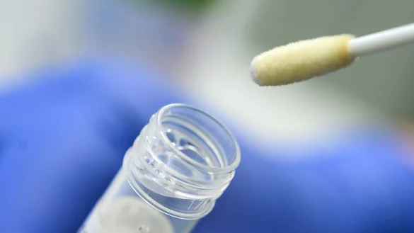 Ein Abstrich f&uuml;r das Testverfahren auf das Coronavirus - &copy; Foto: Sebastian Gollnow/dpa/Symbolbild