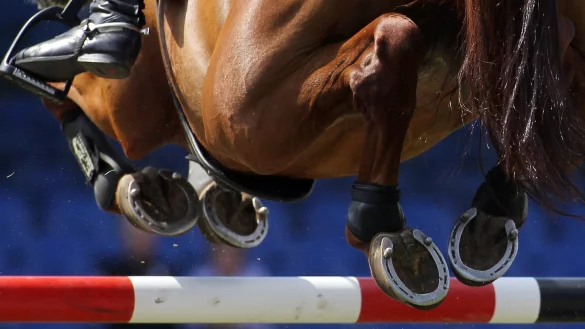 Pferdesport - &copy; Foto: Malte Christians/dpa