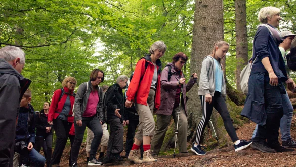 Auf in die Natur: 300 Kilometer Wanderwege gibt es in Lippe und jede Menge in Detmold. Ausgehend von der Innenstadt sind das Hermannsdenkmal und die Externsteine markante Zielpunkte, an denen sich viele andere sehenswerte Institutionen aufreihen. - &copy; Torben Gocke
