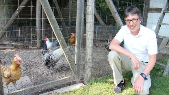Im Garten gackerts. Martin Hoffmann hat elf H&uuml;hner - ganz besondere sogar. Die Rasse nennt sich "Ostfriesische M&ouml;wen". Das passt. Seine Frau kommt n&auml;mlich aus Ostfriesland. - &copy; Kirsten Fuhrmann
