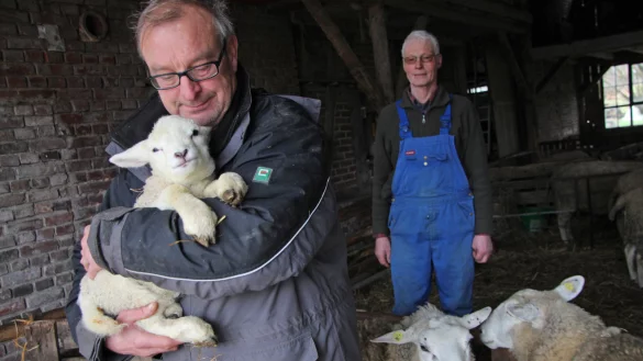 F&uuml;rsorglich: Das Wohl der Tiere liegt Andreas T&uuml;nker (links) besonders am Herzen. Landwirt Friedrich Arning wei&szlig;, dass er sich auf den Mitarbeiter der Lebenshilfe-Werkst&auml;tten verlassen kann, der bei ihm auf dem Hof kr&auml;ftig anpackt. Foto: Katrin Kantelberg - &copy; Katrin Kantelberg