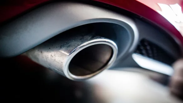 - &copy; Christoph Schmidt/dpa